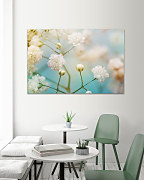 Obraz Púčiky kvetov 1707